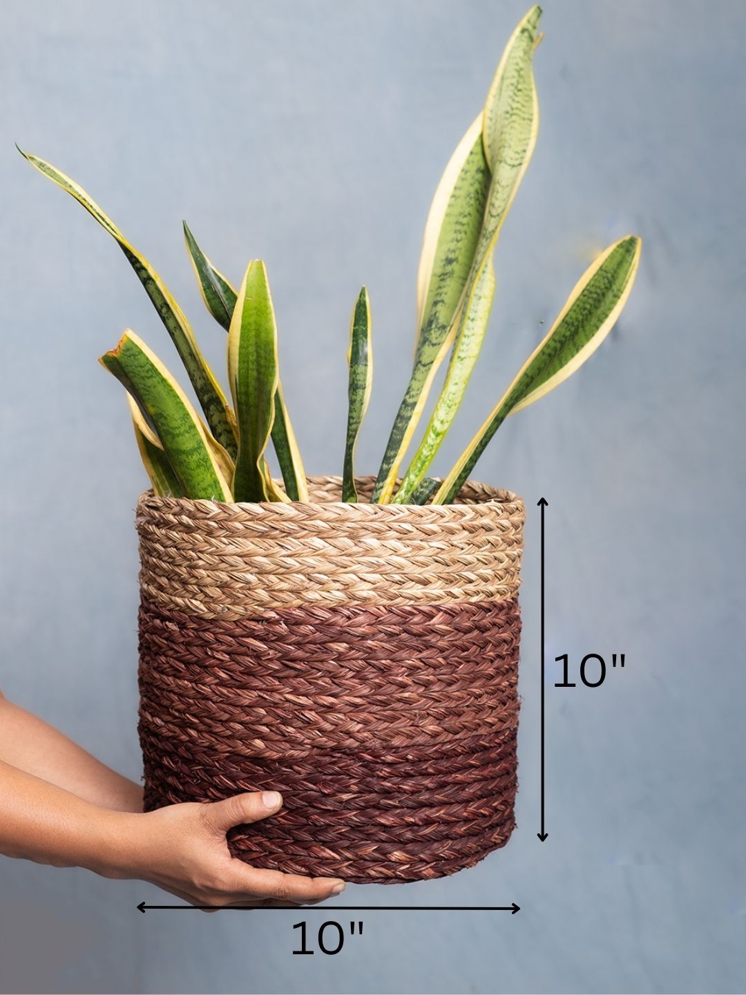 Handmade Sabai Grass Planter - Brown