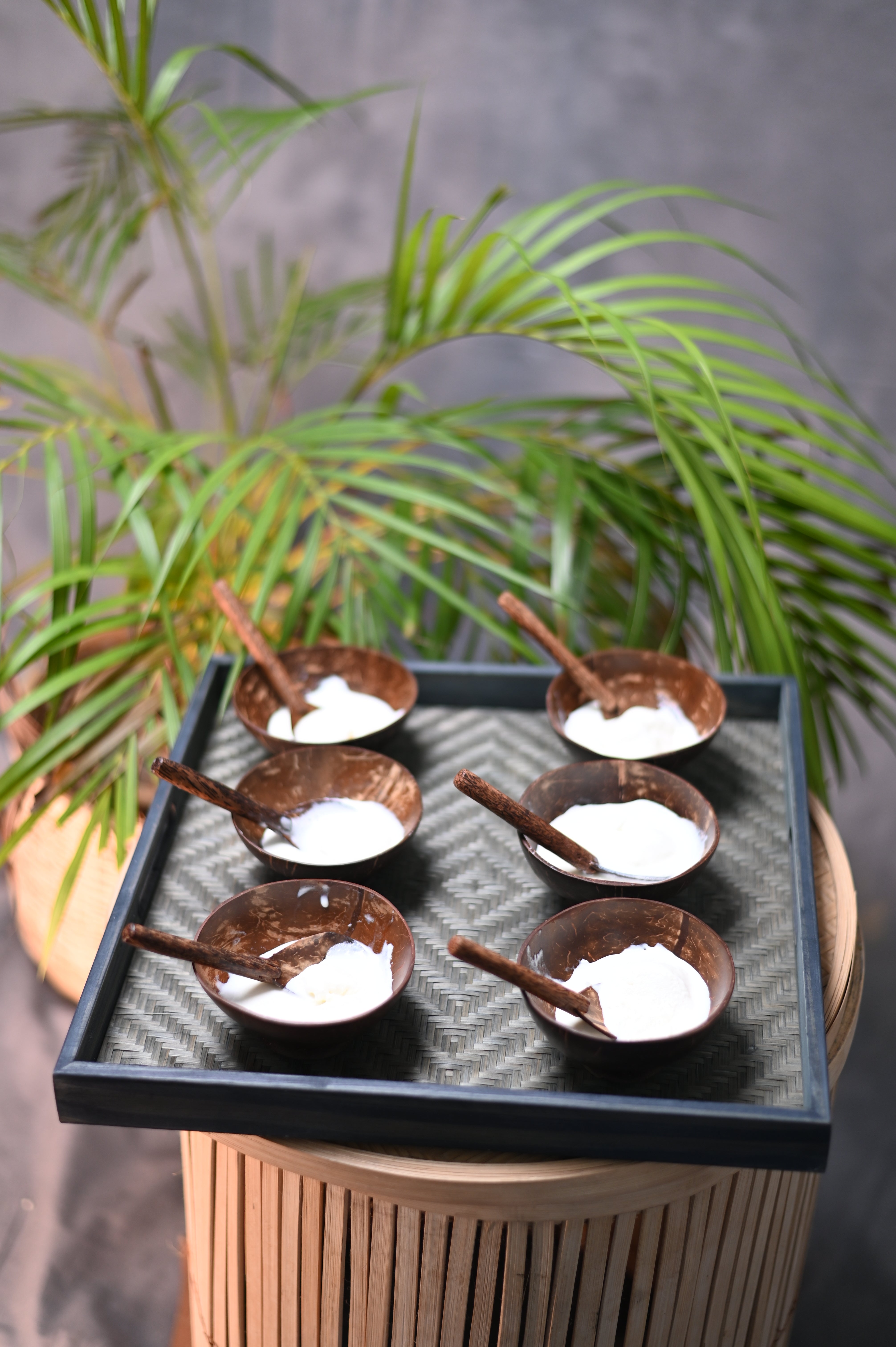 Coconut Shell Bowls with Spoon Set