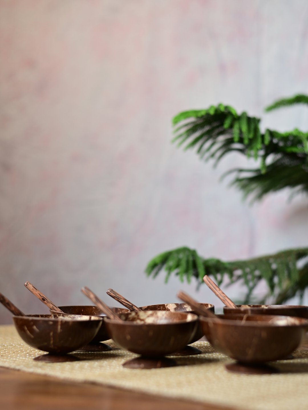 Coconut Shell Bowls with Spoon Set - Kadam Haat