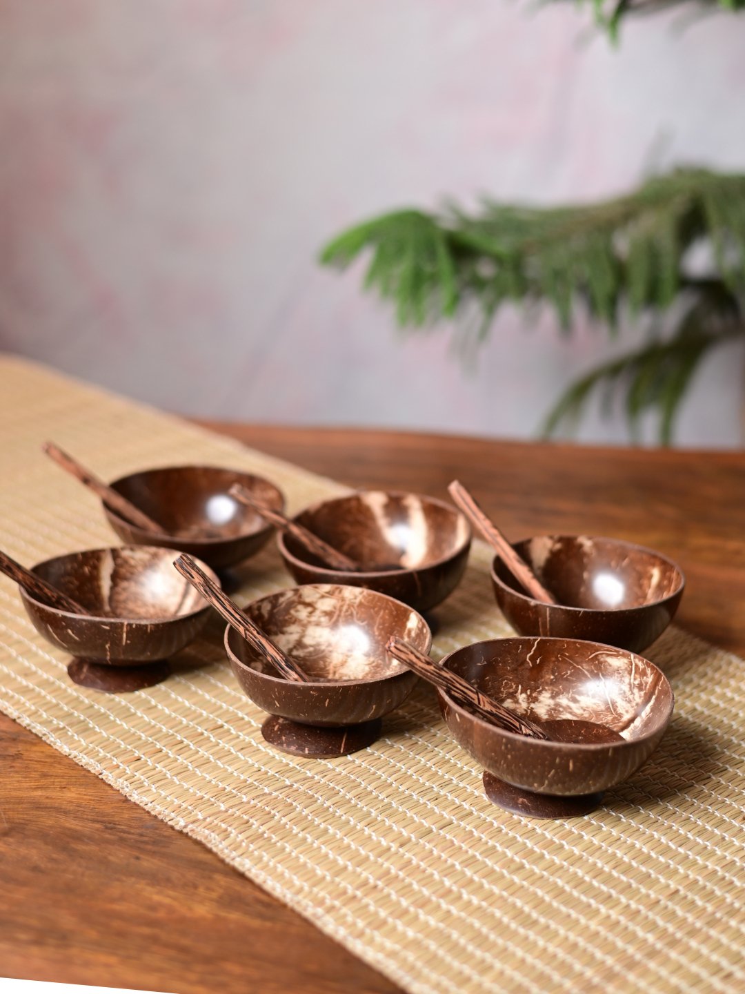 Coconut Shell Bowls with Spoon Set - Kadam Haat