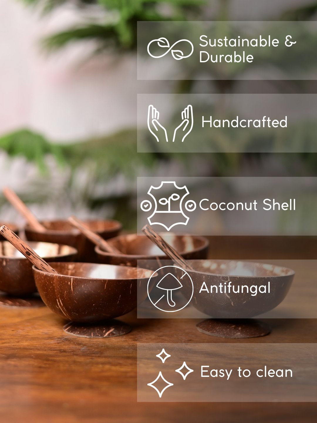 Coconut Shell Bowls with Spoon Set - Kadam Haat