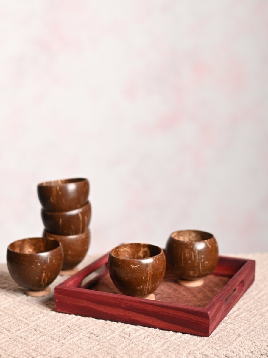Handmade Coco Glasses with Tray (Set of 4 or 6) - Kadam Haat