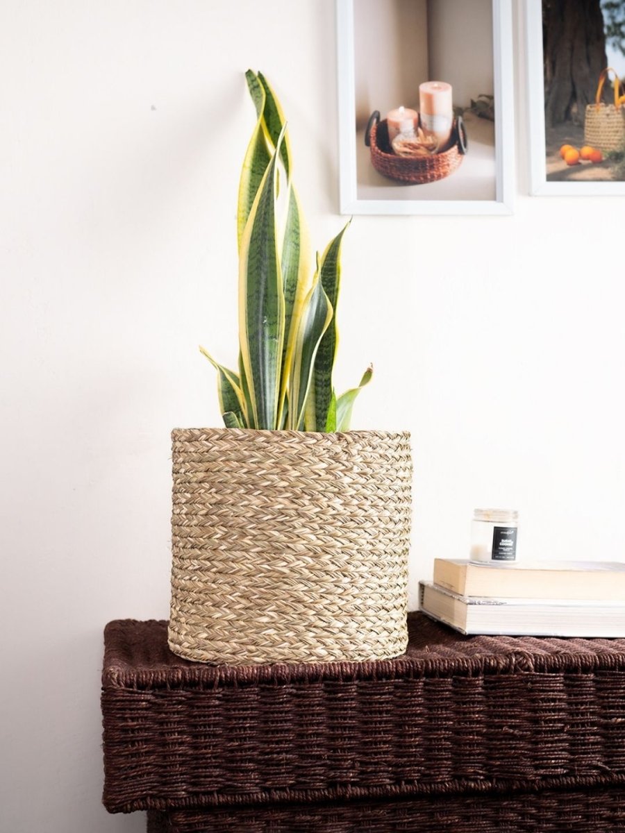 Handmade Sabai Grass Planter - Kadam Haat