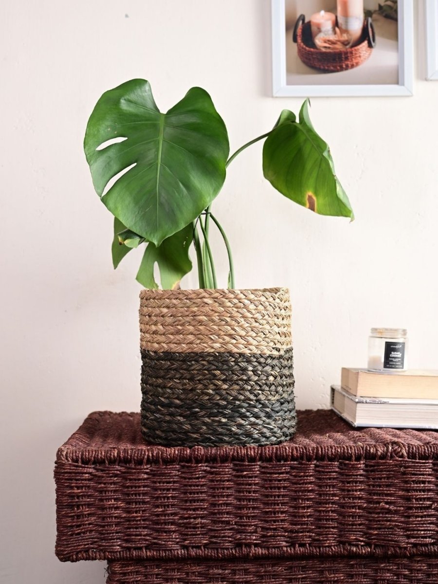 Handmade Sabai Grass Planter - Black - Kadam Haat