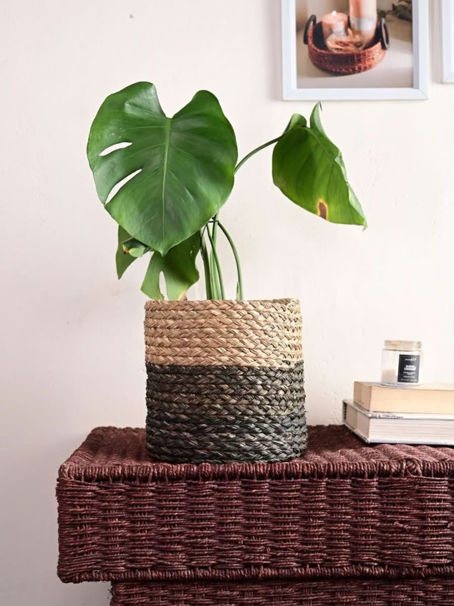 Handmade Sabai Grass Planter - Black - Kadam Haat