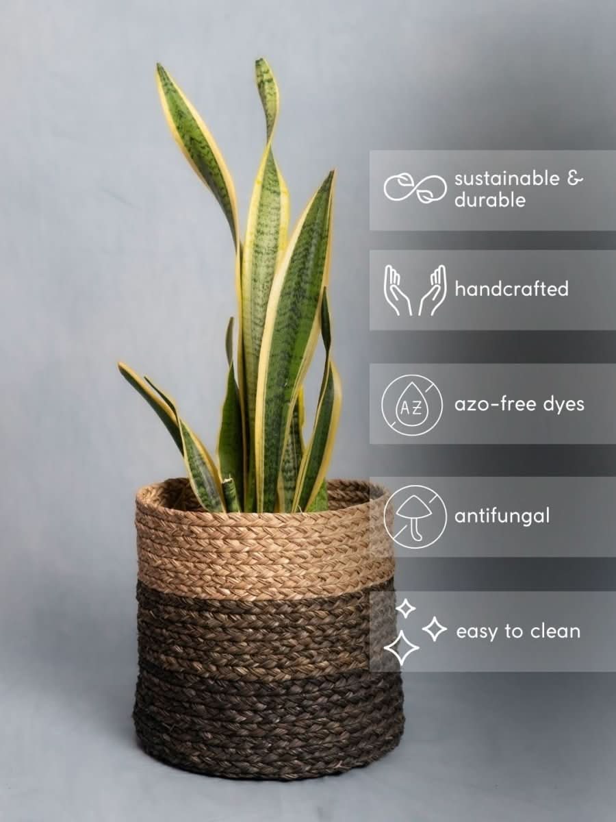 Handmade Sabai Grass Planter - Black - Kadam Haat