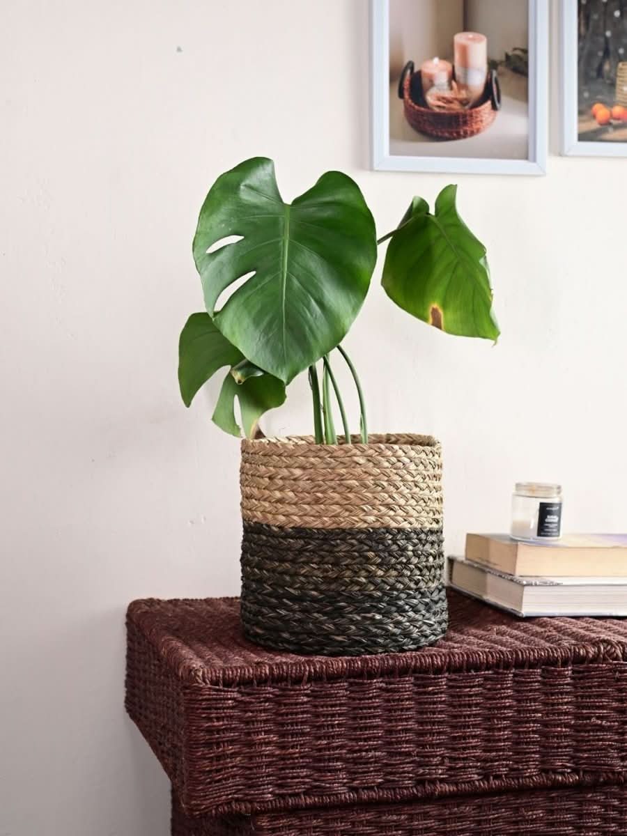 Handmade Sabai Grass Planter - Black - Kadam Haat