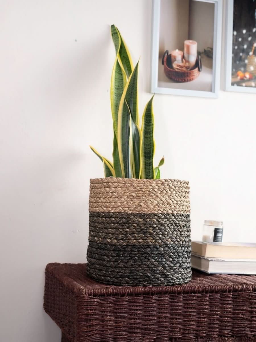 Handmade Sabai Grass Planter - Black - Kadam Haat