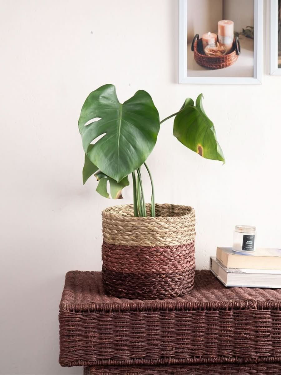 Handmade Sabai Grass Planter - Brown - Kadam Haat