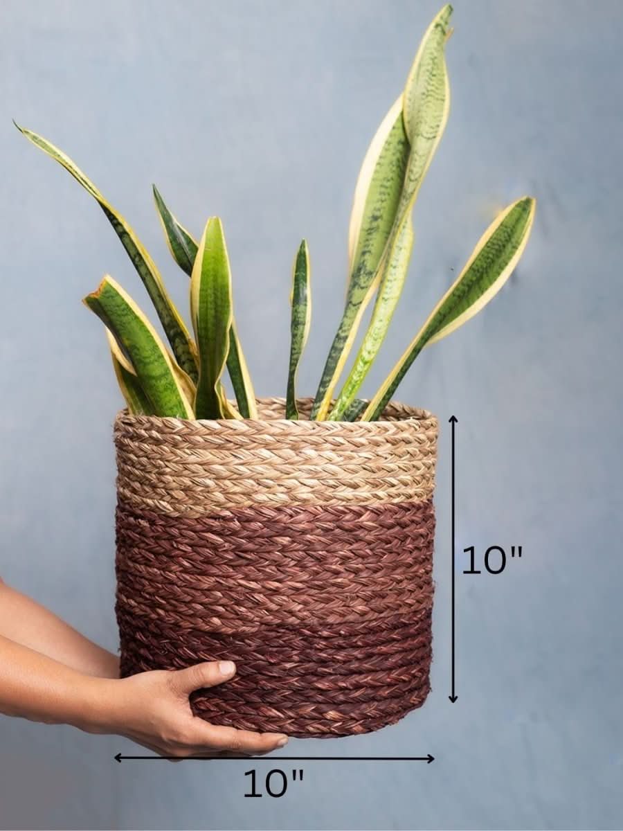 Handmade Sabai Grass Planter - Brown - Kadam Haat
