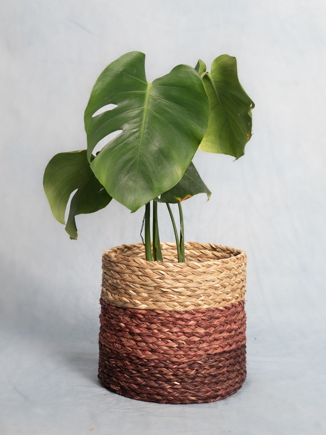 Handmade Sabai Grass Planter - Brown - Kadam Haat