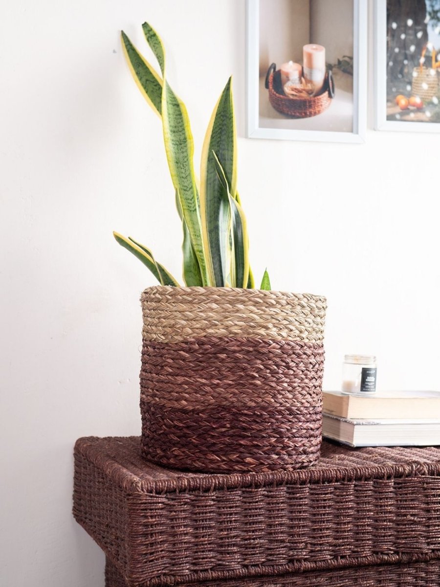 Handmade Sabai Grass Planter - Brown - Kadam Haat