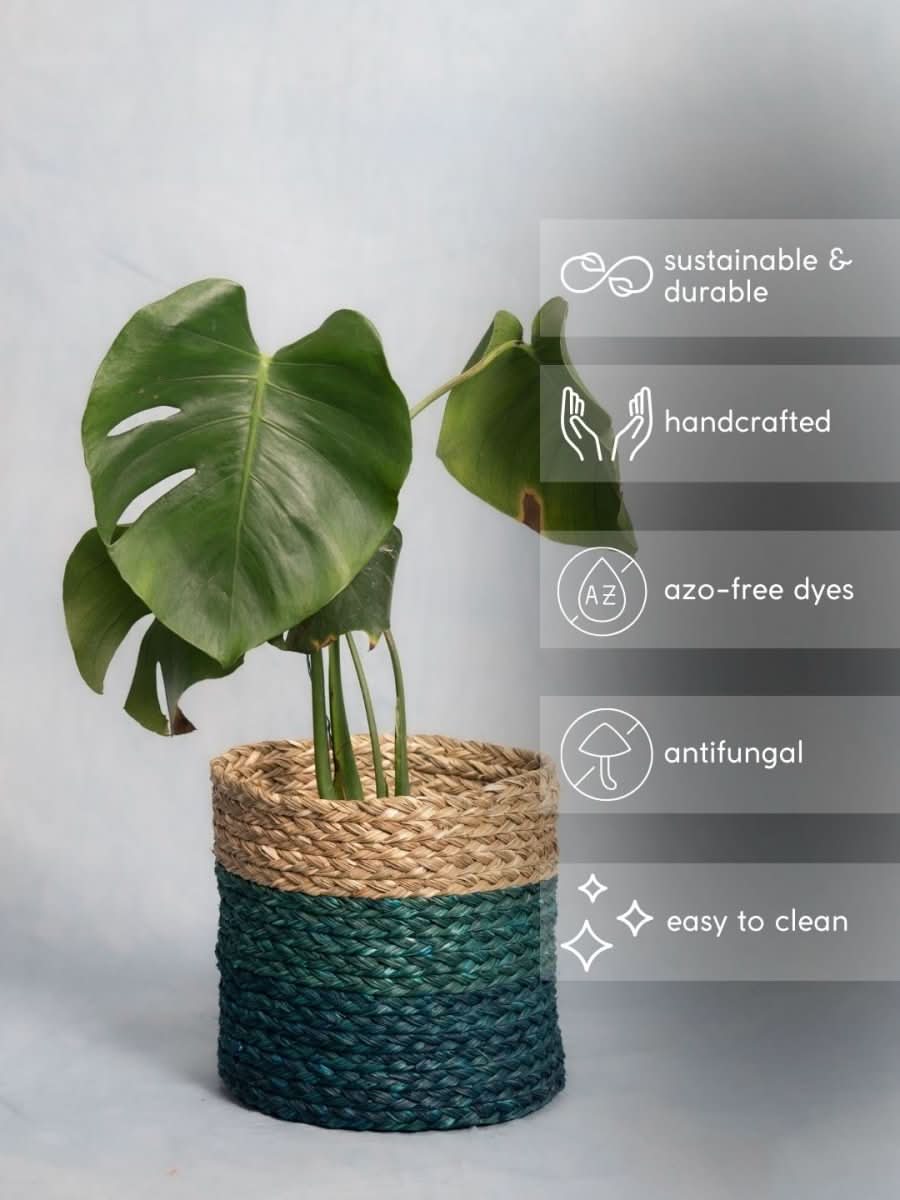 Handmade Sabai Grass Planter - Indigo - Kadam Haat