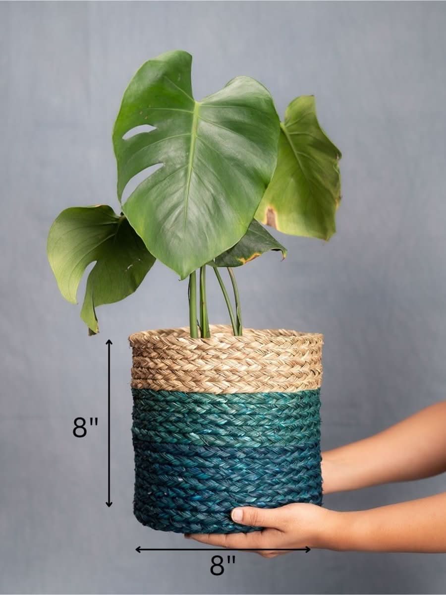 Handmade Sabai Grass Planter - Indigo - Kadam Haat
