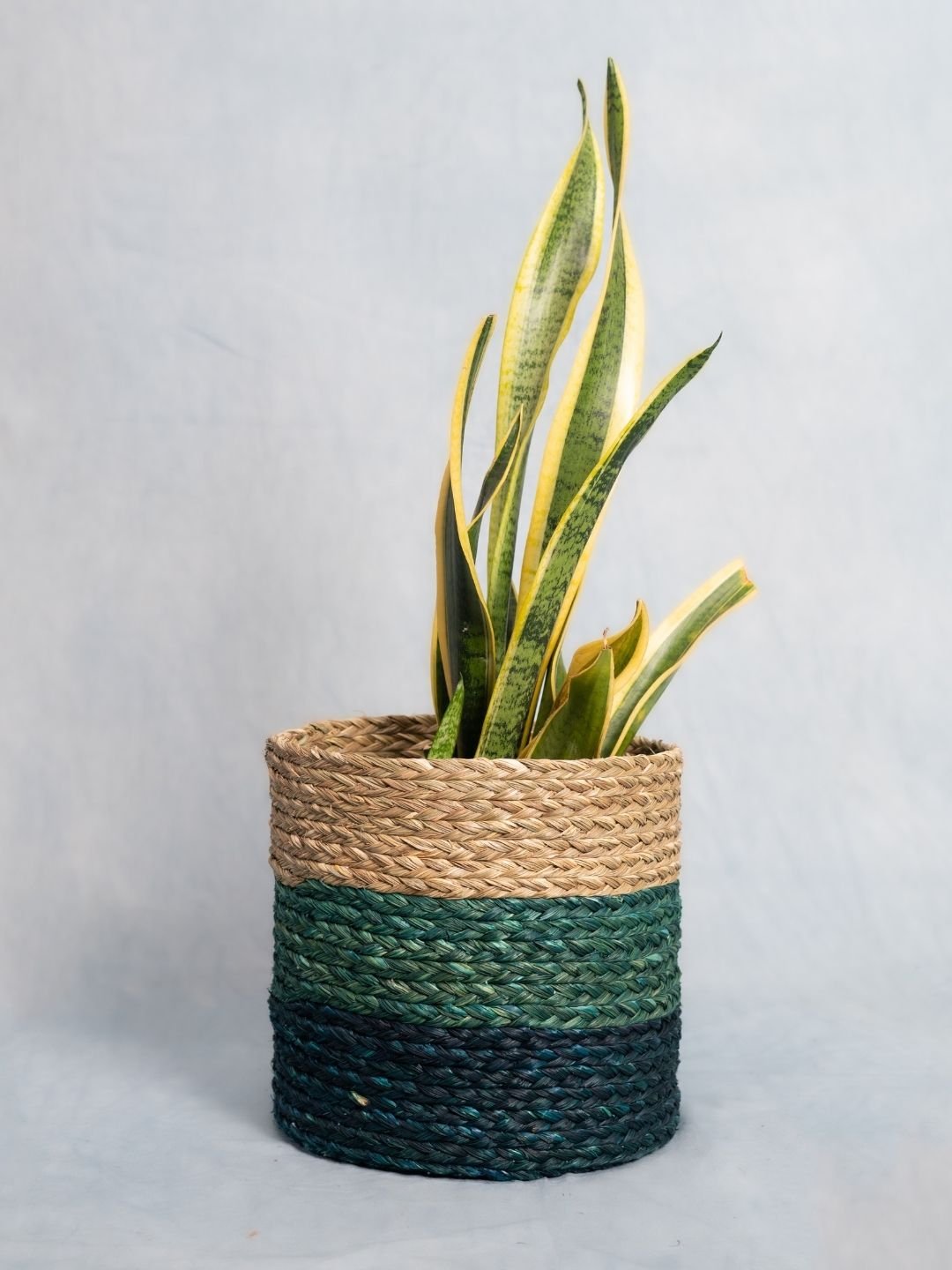 Handmade Sabai Grass Planter - Indigo - Kadam Haat