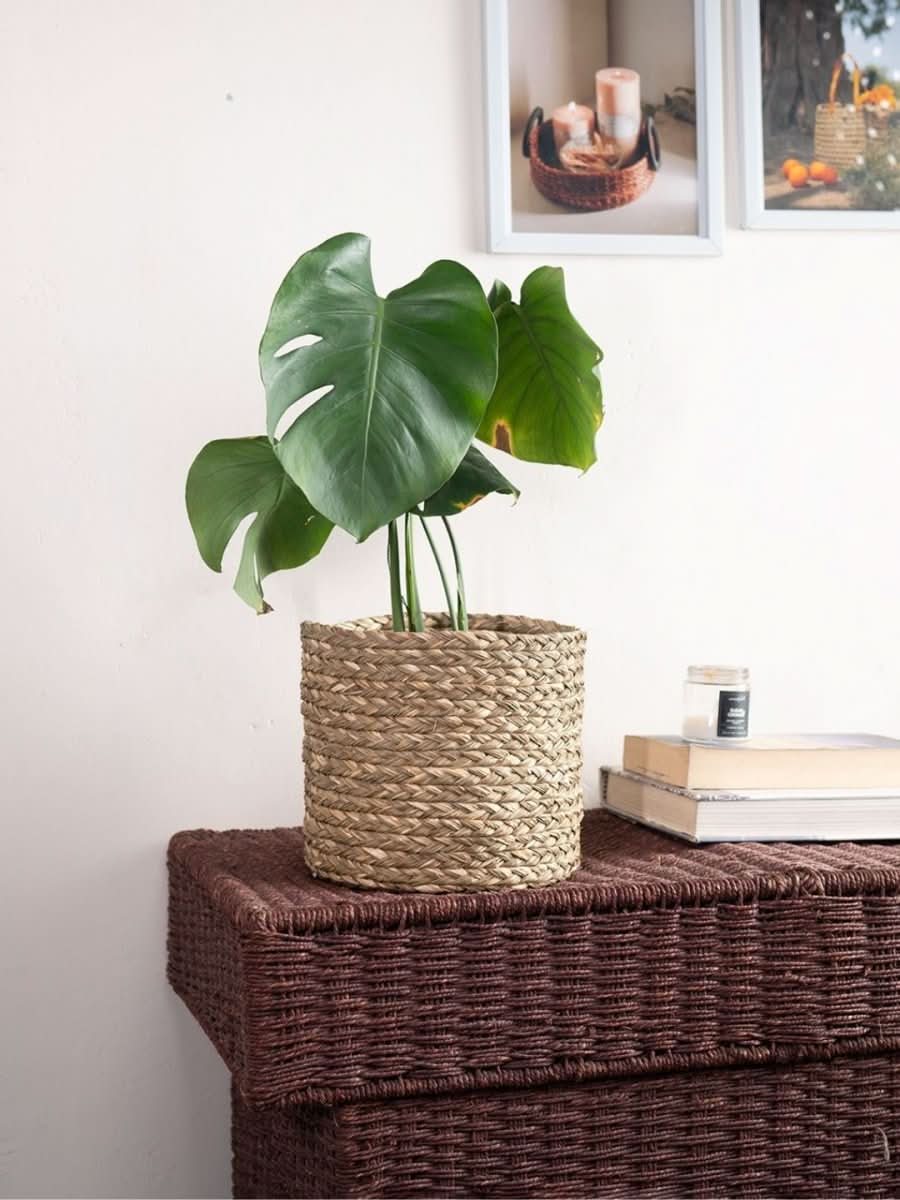 Handmade Sabai Grass Planter - Natural - Kadam Haat