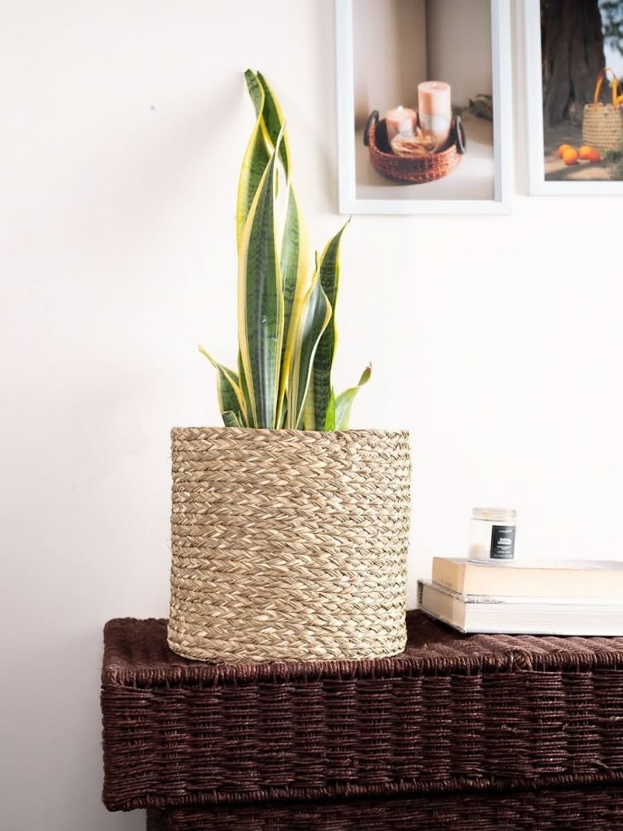 Handmade Sabai Grass Planter - Natural - Kadam Haat