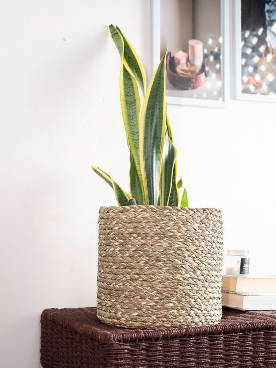 Handmade Sabai Grass Planter - Natural - Kadam Haat