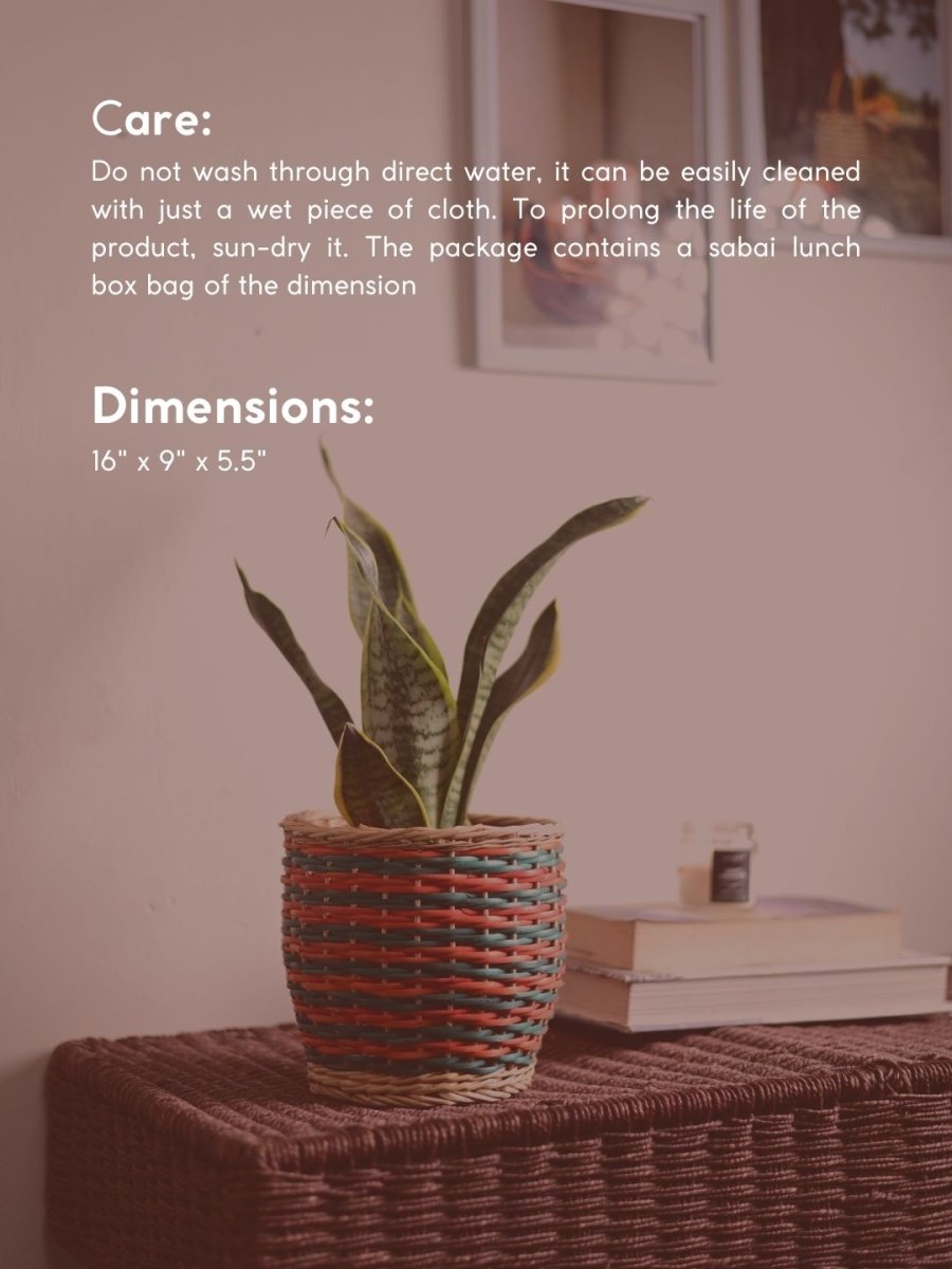 Handmade Wicker Planter - Multicolor - Kadam Haat