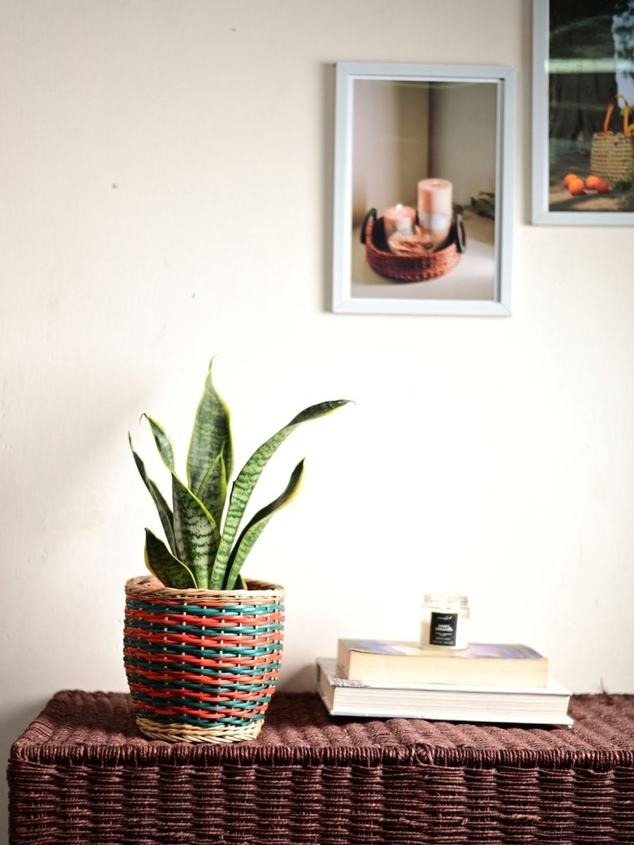 Handmade Wicker Planter - Multicolor - Kadam Haat