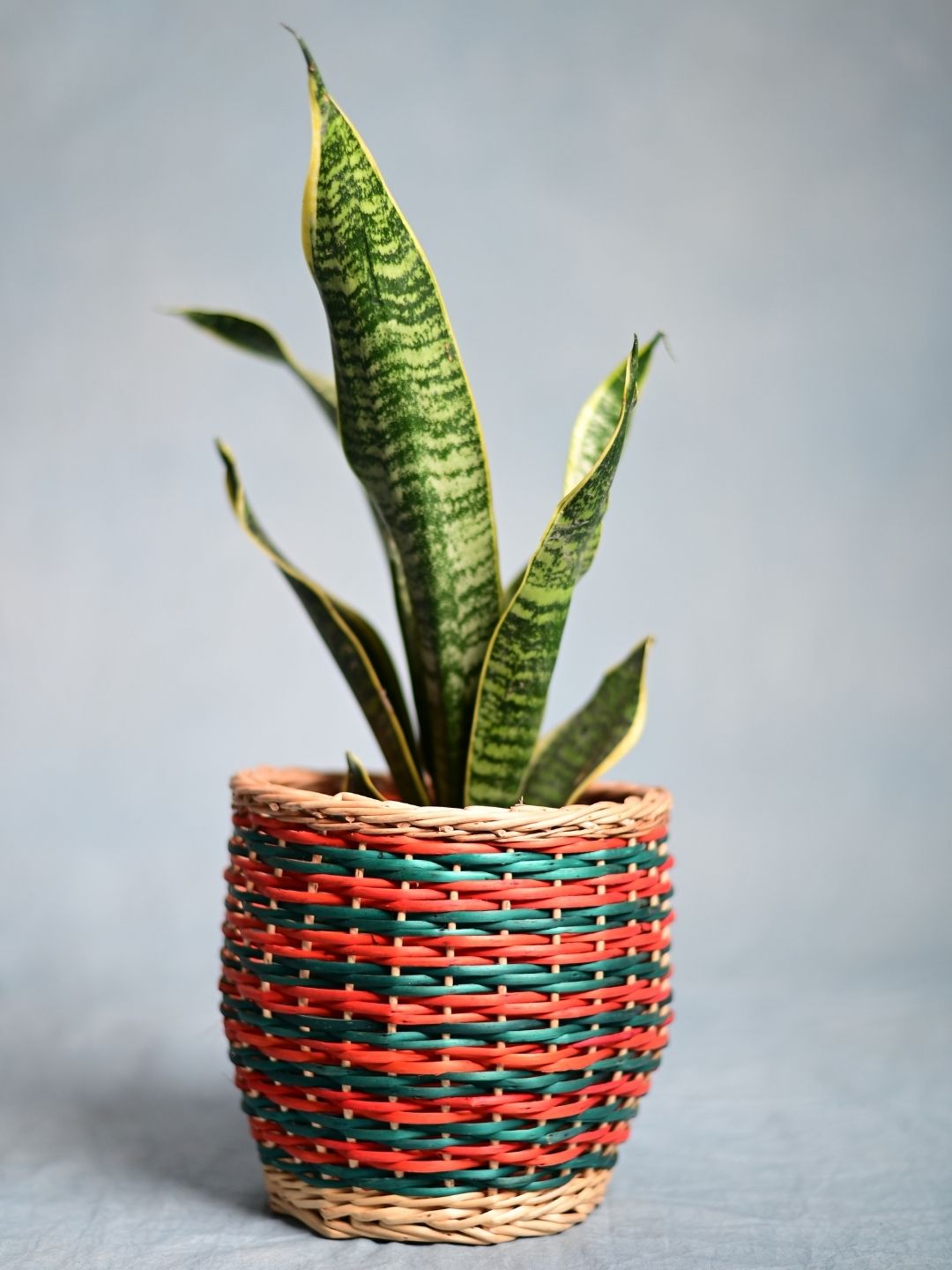 Handmade Wicker Planter - Multicolor - Kadam Haat