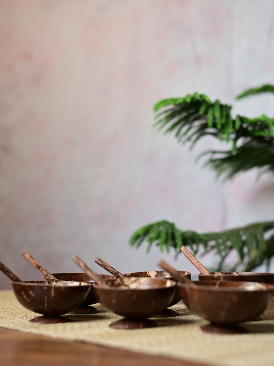 Coconut Shell Bowls with Spoon Set - Kadam Haat