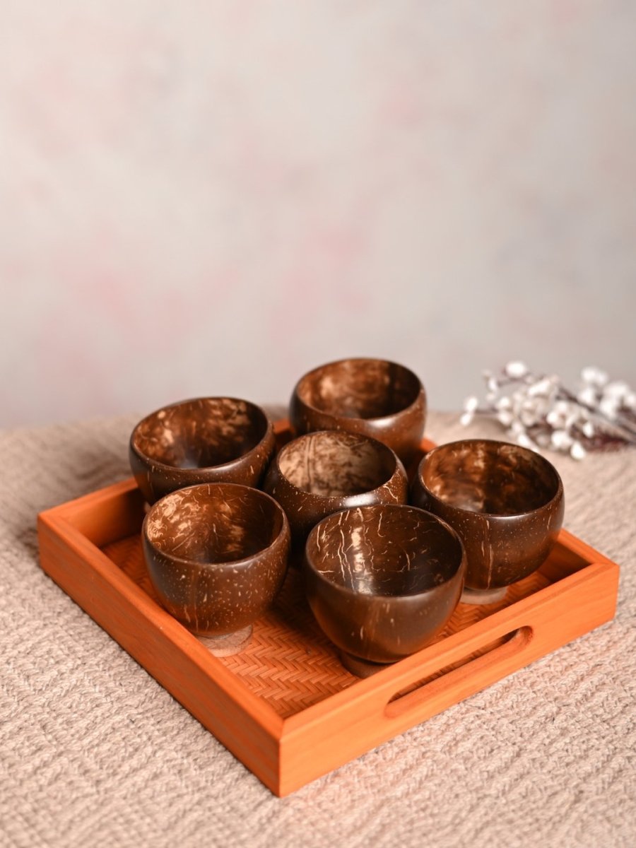 Handmade Coco Glasses with Tray (Set of 4 or 6) - Kadam Haat