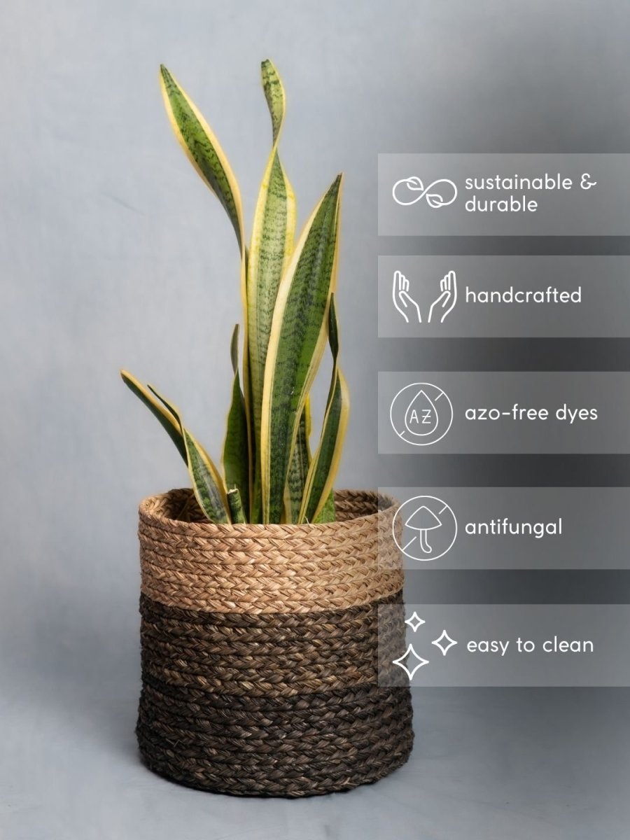 Handmade Sabai Grass Planter - Black - Kadam Haat