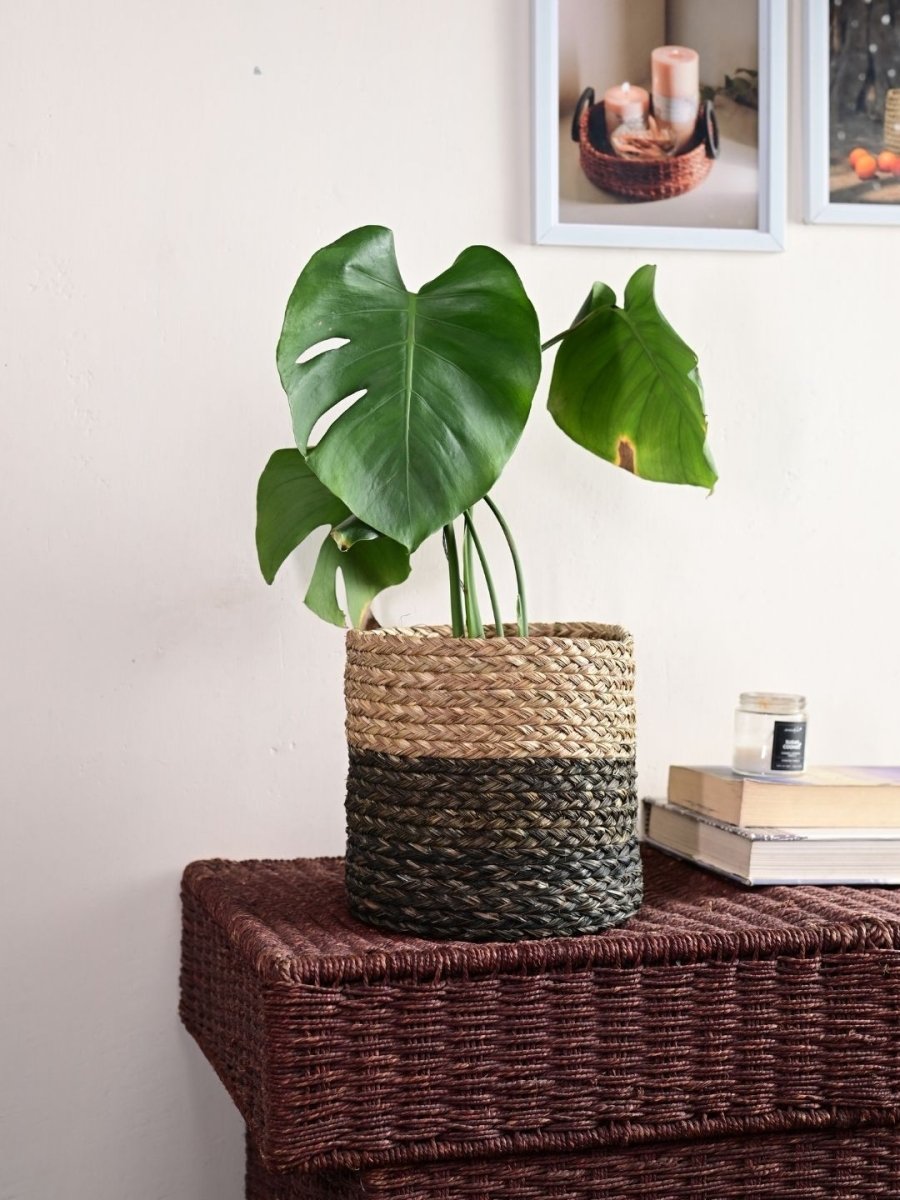 Handmade Sabai Grass Planter - Black - Kadam Haat