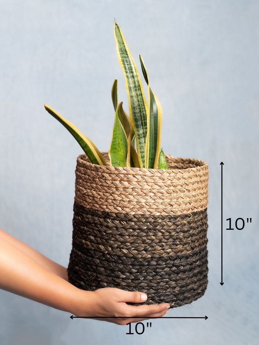 Handmade Sabai Grass Planter - Black - Kadam Haat