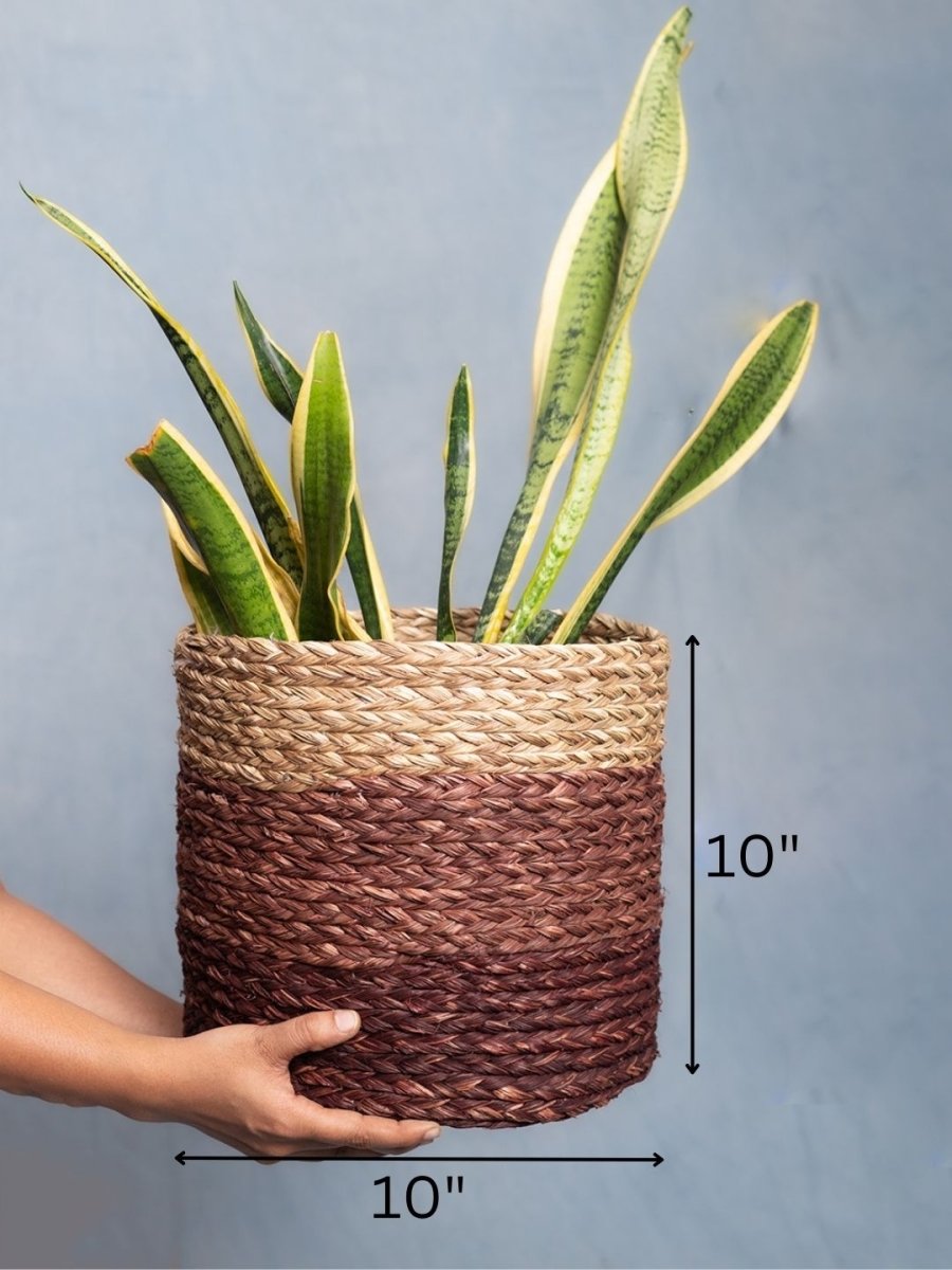 Handmade Sabai Grass Planter - Brown - Kadam Haat