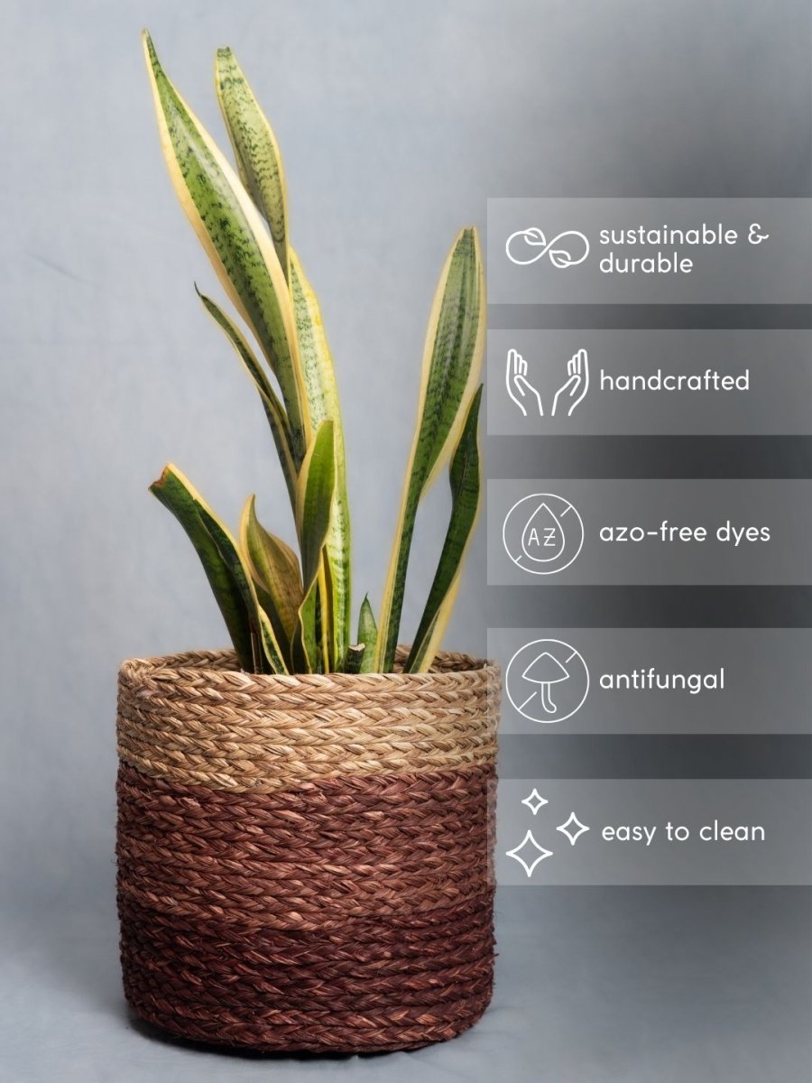 Handmade Sabai Grass Planter - Brown - Kadam Haat