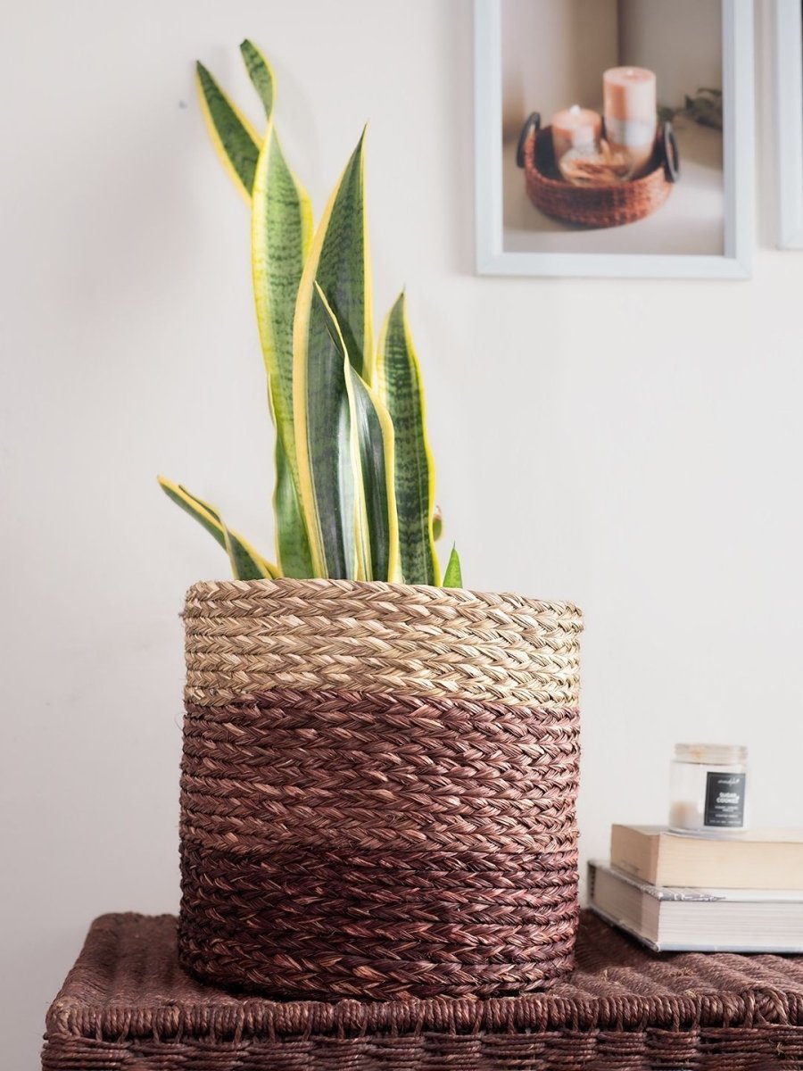 Handmade Sabai Grass Planter - Brown - Kadam Haat