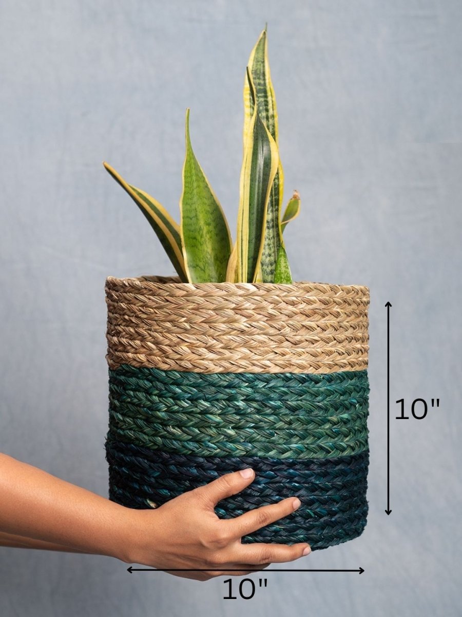 Handmade Sabai Grass Planter - Indigo - Kadam Haat